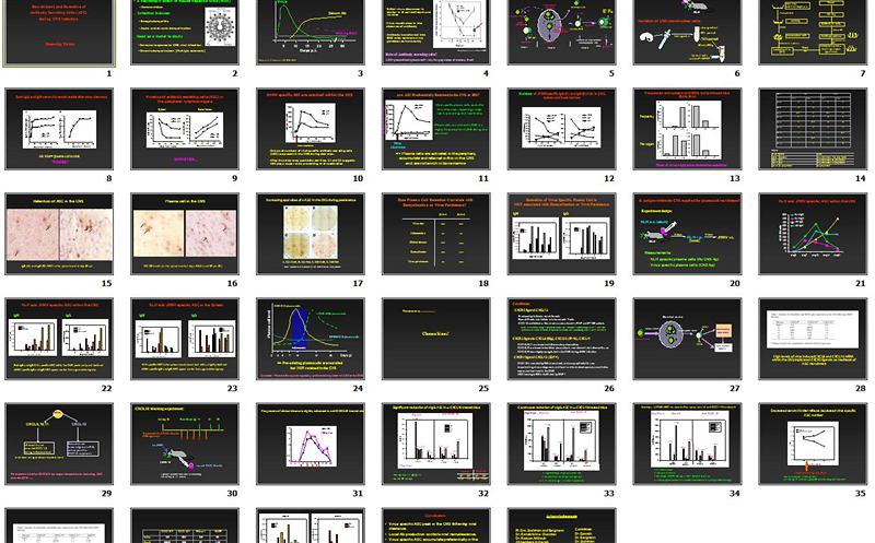 Too many slides